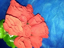 FA013 -Botões de Rosas artificiais lindas cores!